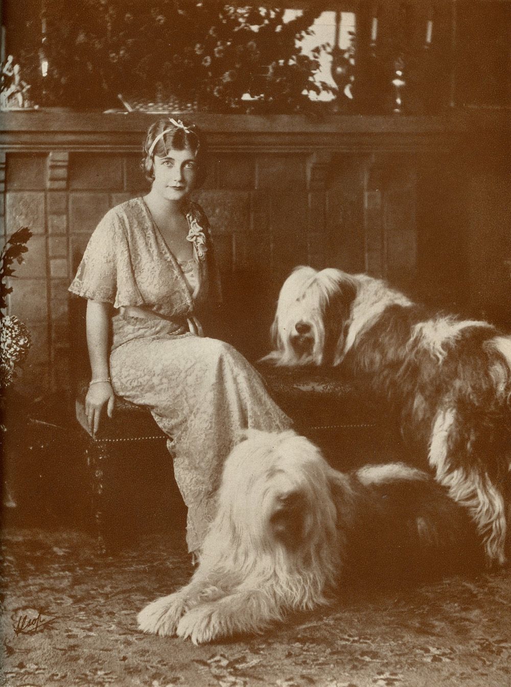 Santa Barbara Kennel Club 1932 and “Southwest Circuit”